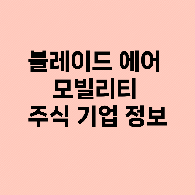 블레이드 에어 모빌리티 기업 총정리