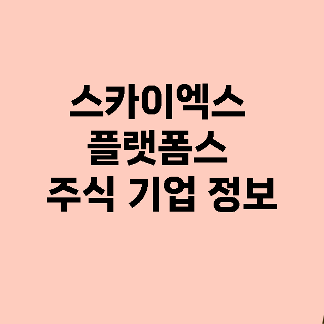 스카이엑스 플랫폼스 기업 총정리