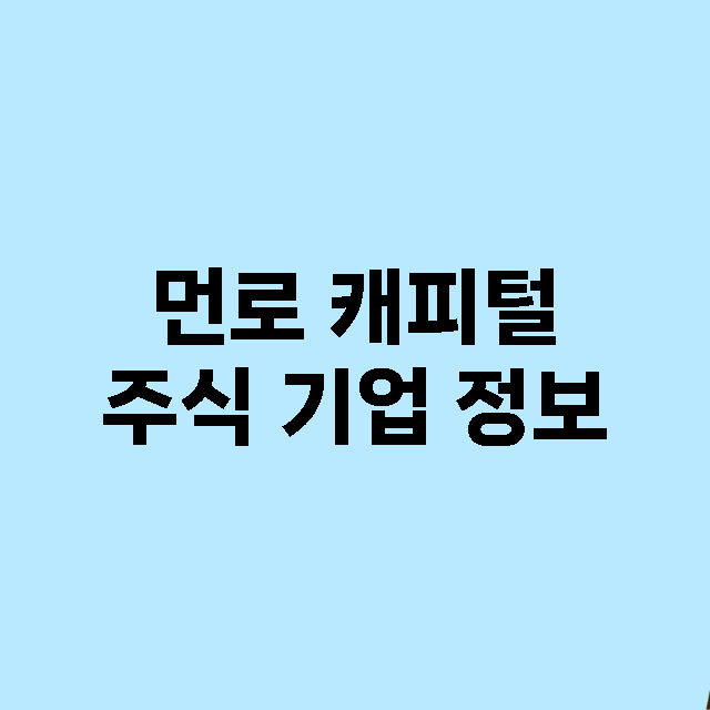 먼로 캐피털 기업 총정리