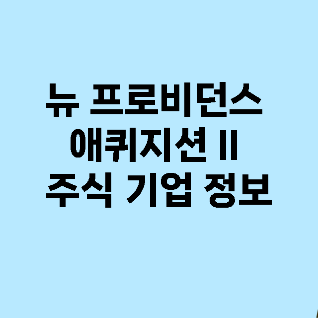 뉴 프로비던스 애퀴지션 II 기업 총정리