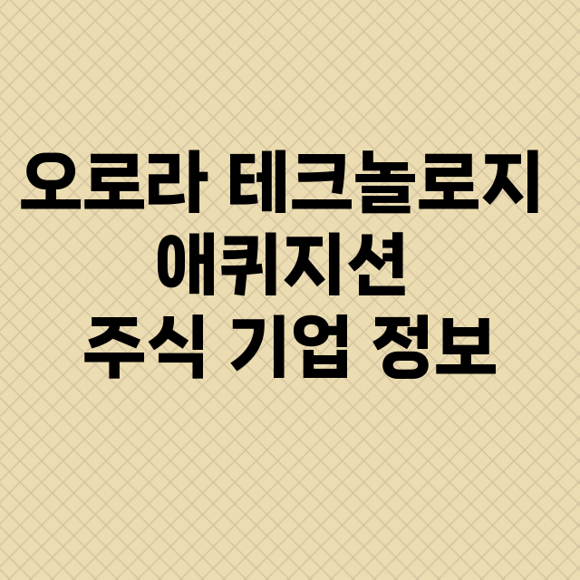 오로라 테크놀로지 애퀴지션 기업 총정리