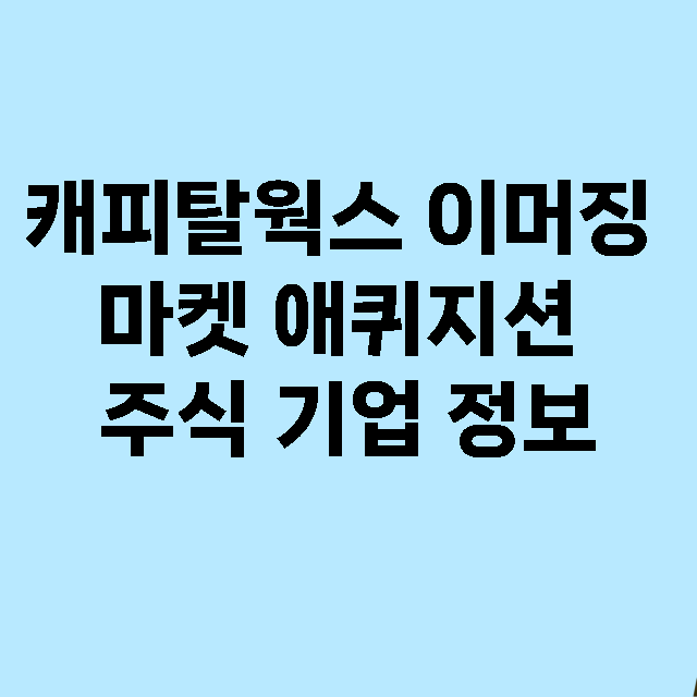 캐피탈웍스 이머징 마켓 애퀴지션 기업 총정리