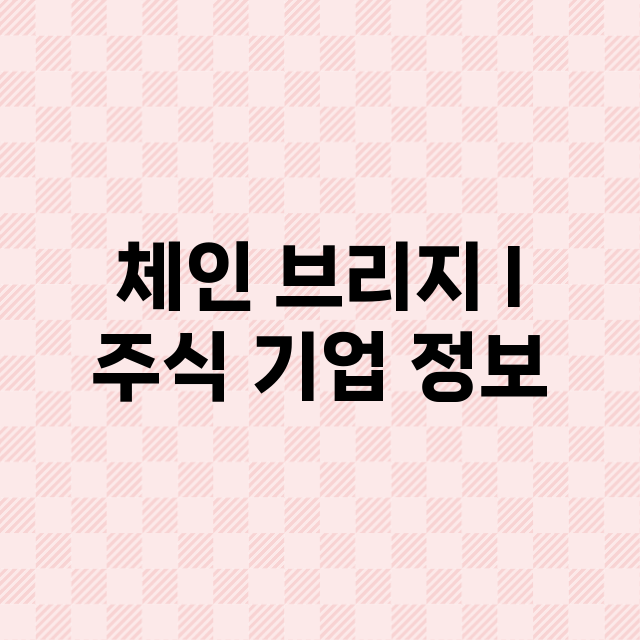 체인 브리지 I 기업 총정리