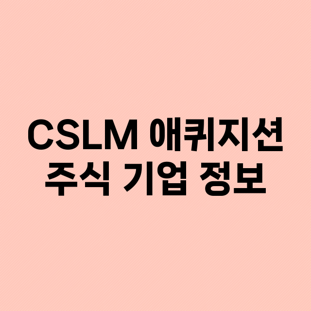 CSLM 애퀴지션 기업 총정리