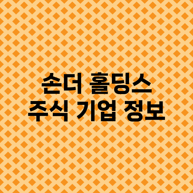 손더 홀딩스 기업 총정리