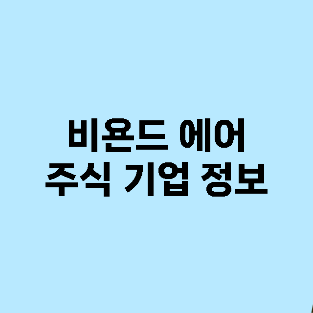 비욘드 에어 기업 총정리