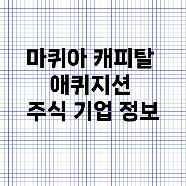 마퀴아 캐피탈 애퀴지션 기업 총정리