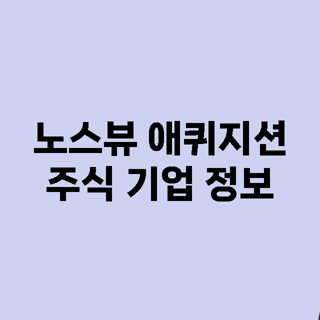 노스뷰 애퀴지션 기업 총정리