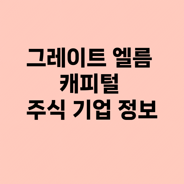 그레이트 엘름 캐피털 기업 총정리