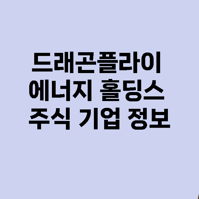 드래곤플라이 에너지 홀딩스 기업 총정리