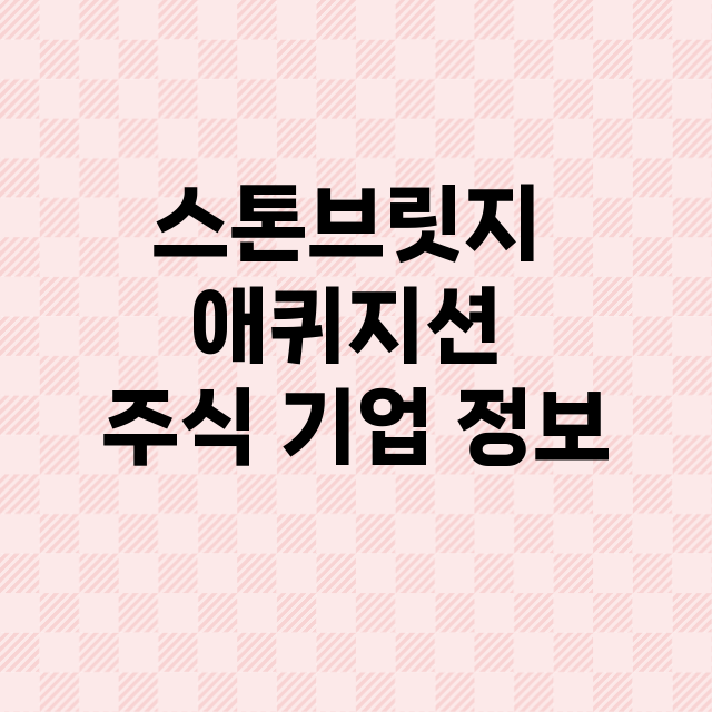 스톤브릿지 애퀴지션 기업 총정리