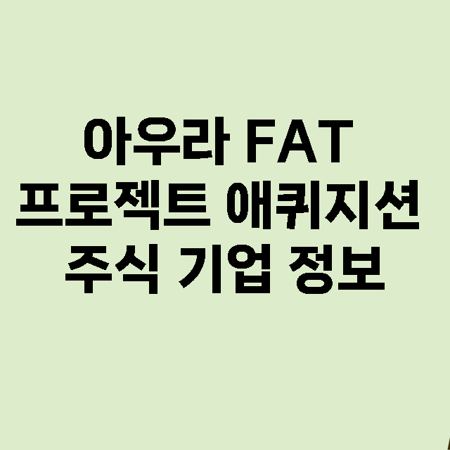 아우라 FAT 프로젝트 애퀴지션 기업 총정리