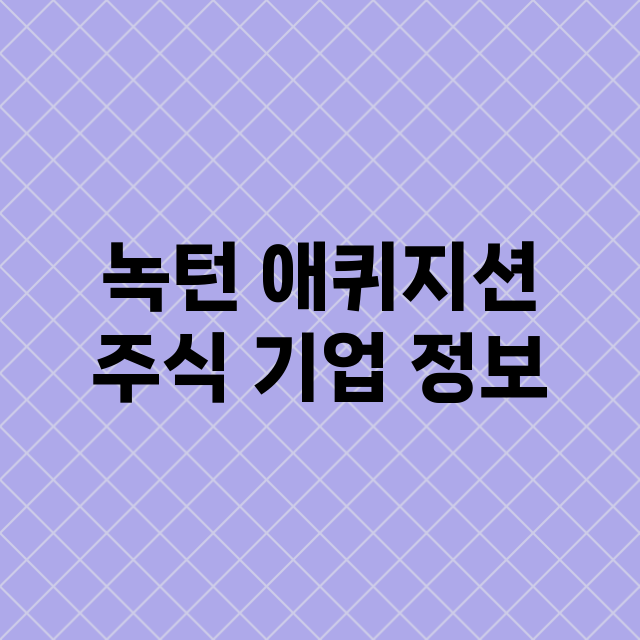 녹턴 애퀴지션 기업 총정리