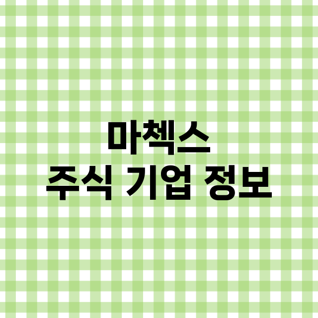 마첵스 기업 총정리