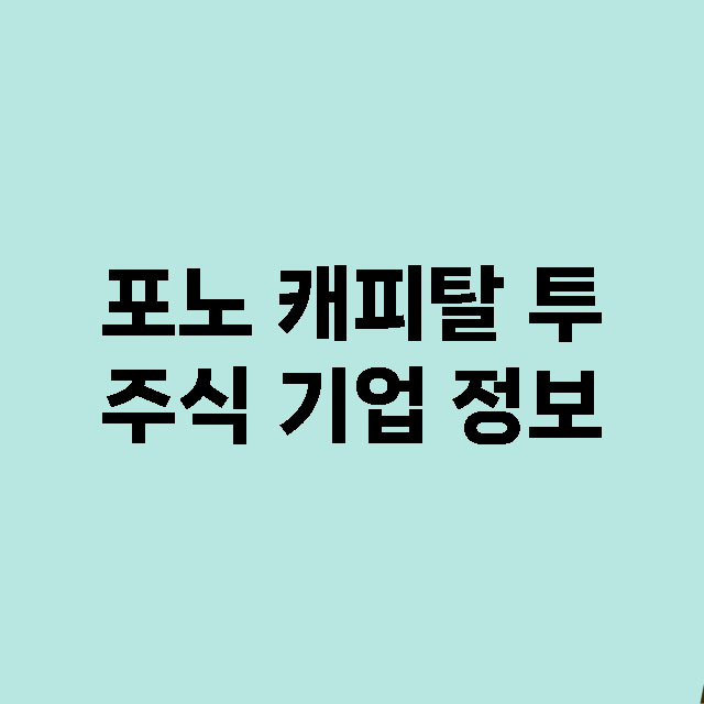 포노 캐피탈 투 기업 총정리