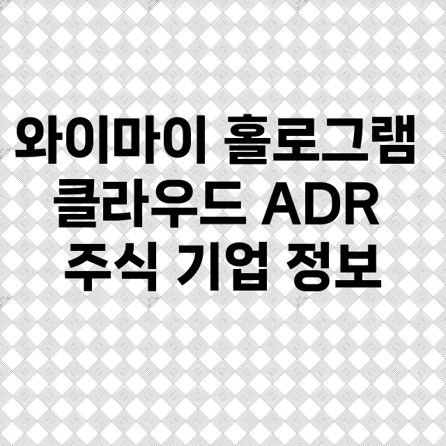 와이마이 홀로그램 클라우드 ADR 기업 총정리