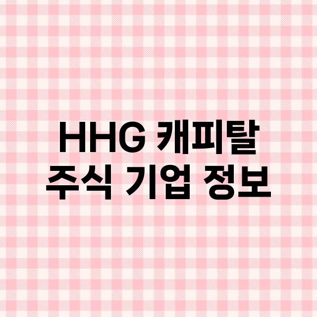 HHG 캐피탈 기업 총정리