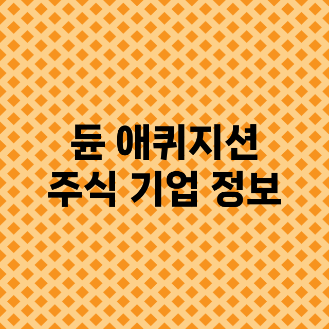 듄 애퀴지션 기업 총정리