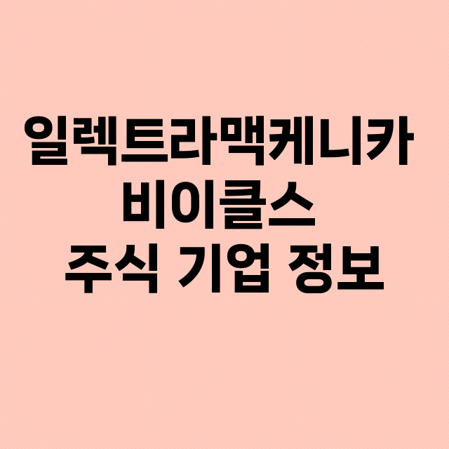 일렉트라맥케니카 비이클스 기업 총정리