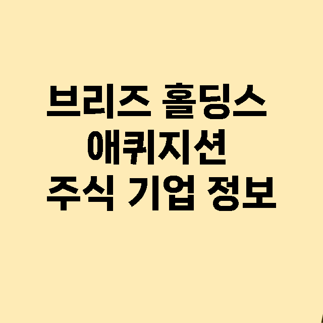 브리즈 홀딩스 애퀴…