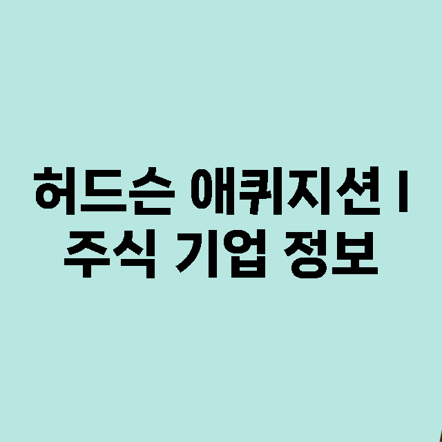 허드슨 애퀴지션 I 기업 총정리