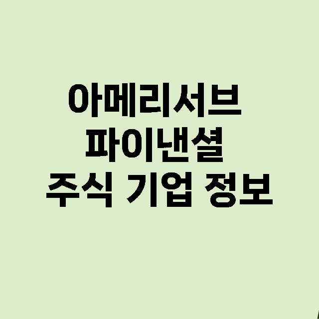 아메리서브 파이낸셜 기업 총정리