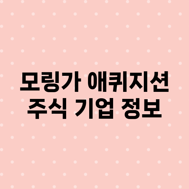 모링가 애퀴지션 기업 총정리