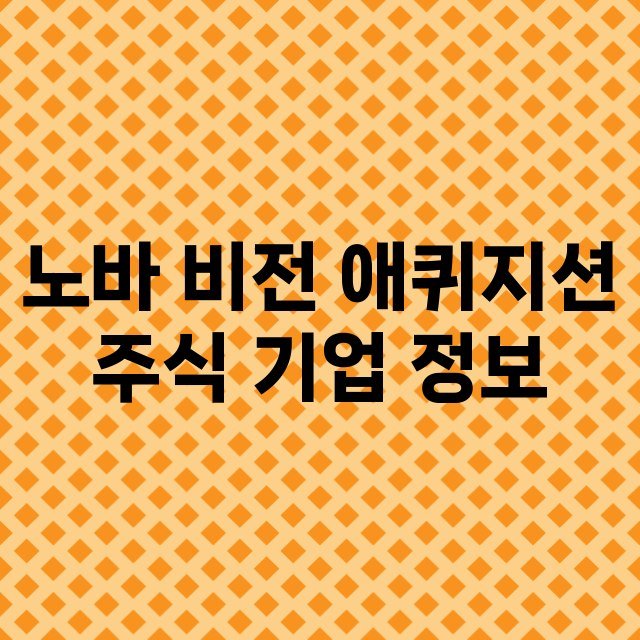 노바 비전 애퀴지션 기업 총정리