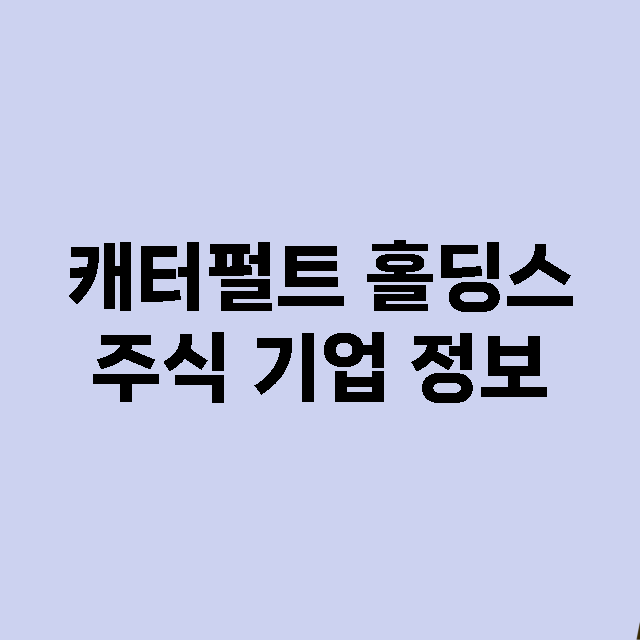 캐터펄트 홀딩스 기업 총정리