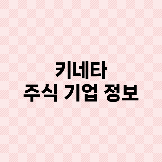 키네타 기업 총정리