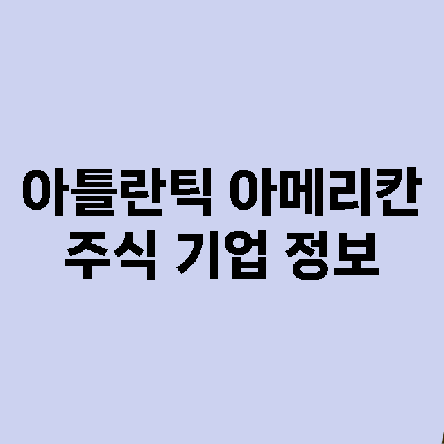 아틀란틱 아메리칸 기업 총정리