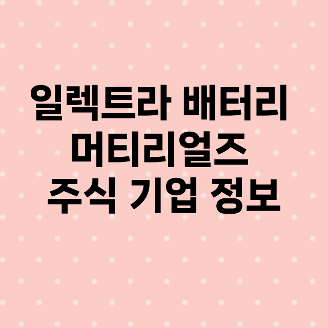 일렉트라 배터리 머티리얼즈 기업 총정리