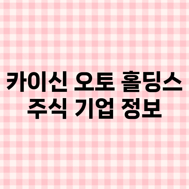 카이신 오토 홀딩스 기업 총정리