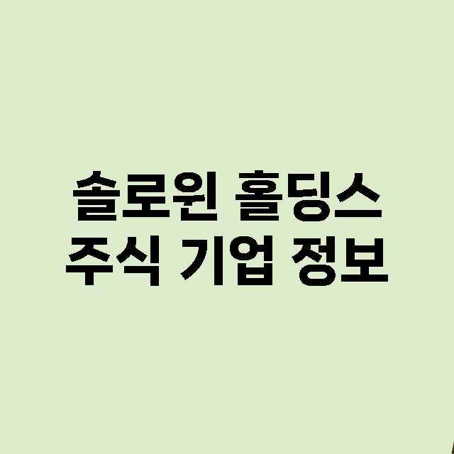 솔로윈 홀딩스 기업 총정리