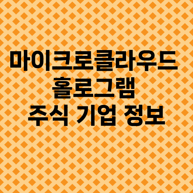 마이크로클라우드 홀로그램 기업 총정리