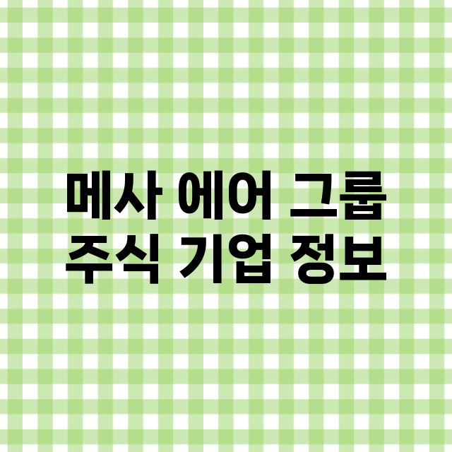 메사 에어 그룹 기업 총정리