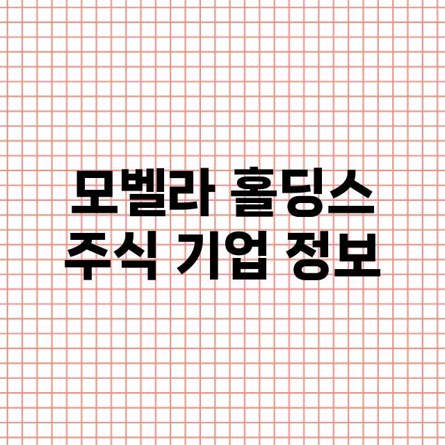 모벨라 홀딩스 기업 총정리