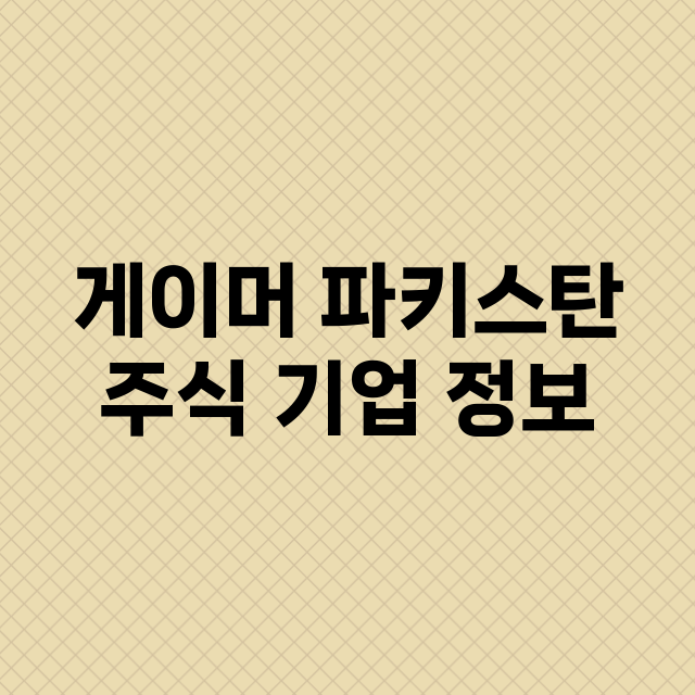 게이머 파키스탄 기업 총정리