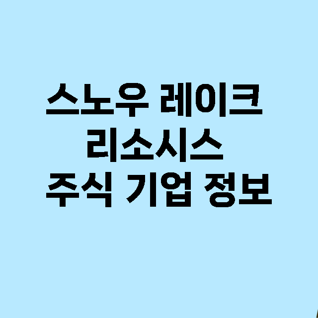 스노우 레이크 리소시스 기업 총정리