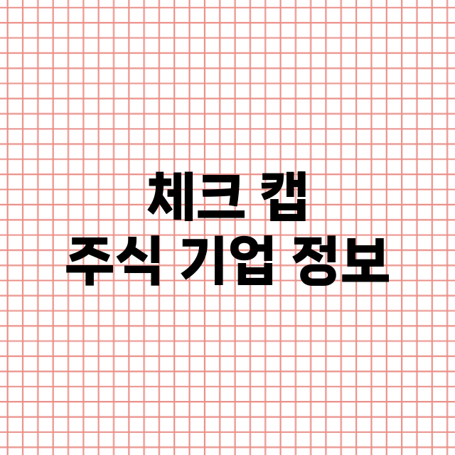 체크 캡 기업 총정리