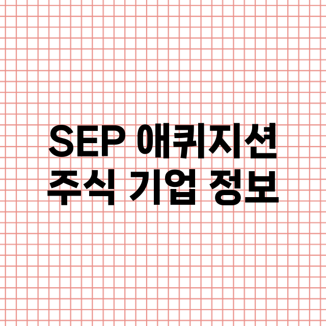 SEP 애퀴지션 기업 총정리