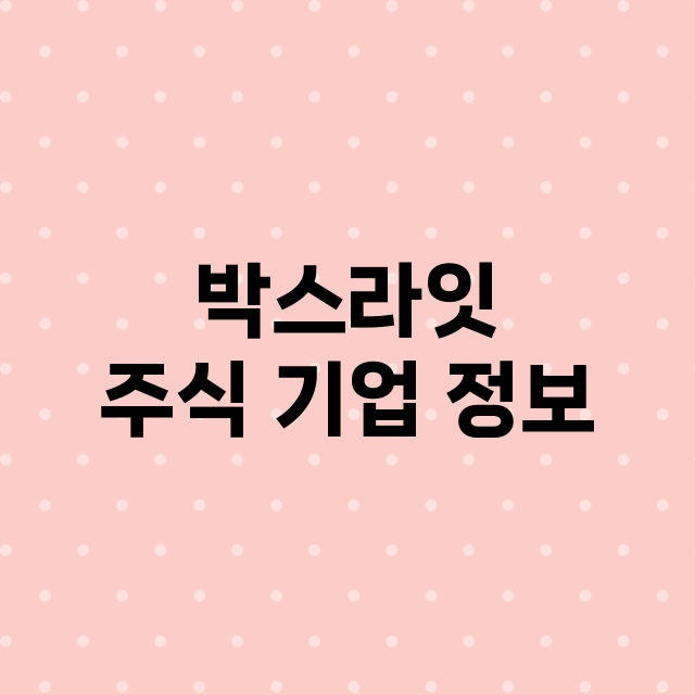 박스라잇 주식 기업…