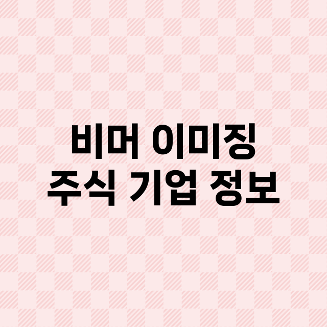 비머 이미징 기업 총정리