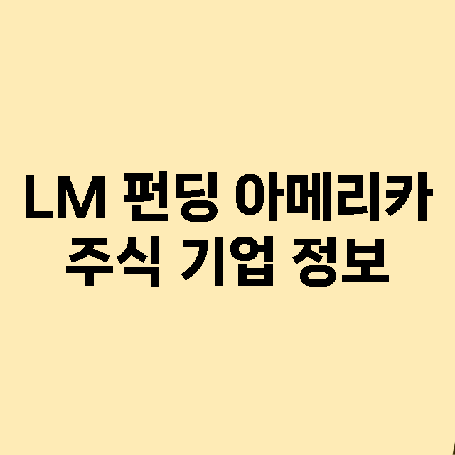 LM 펀딩 아메리카 기업 총정리