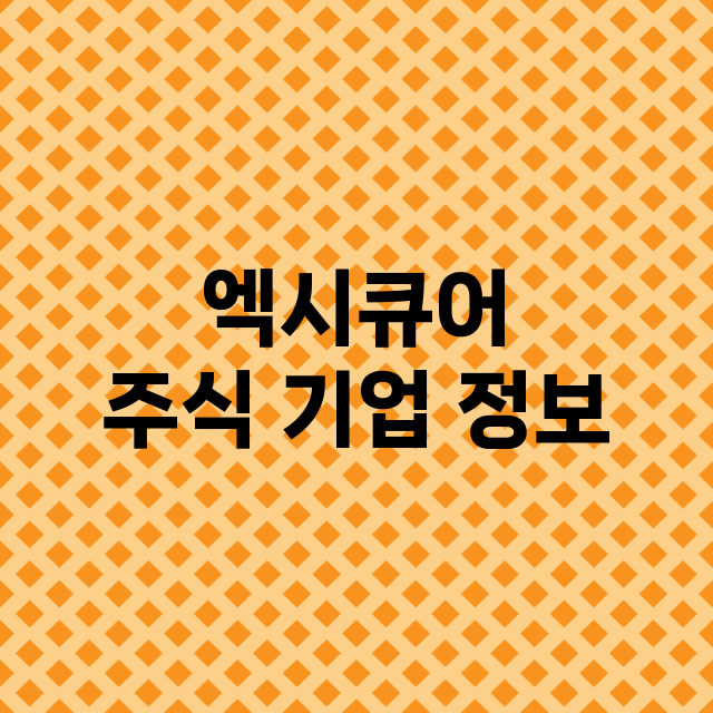 엑시큐어 기업 총정리