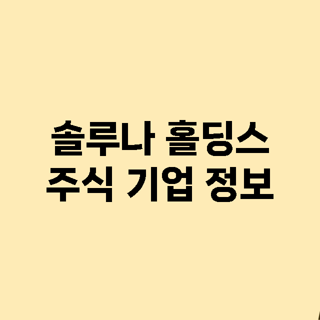 솔루나 홀딩스 기업 총정리