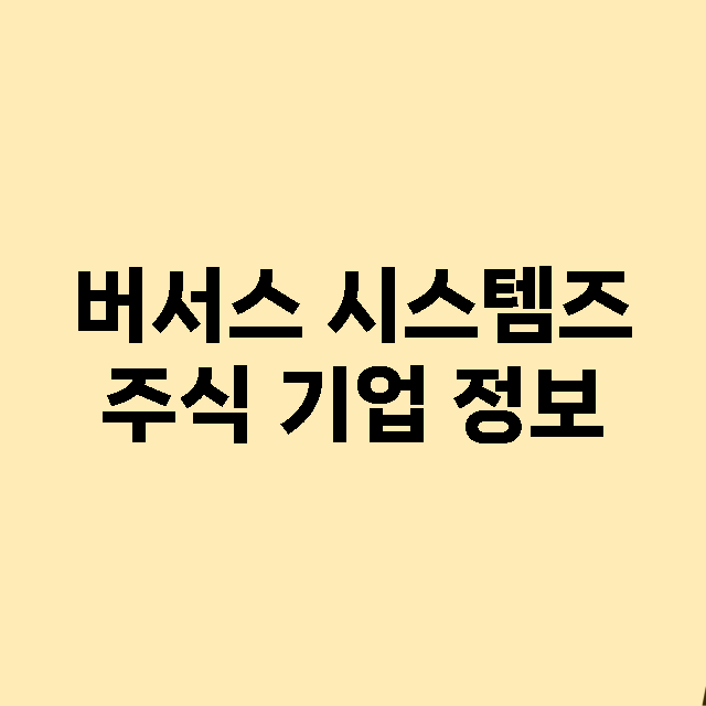 버서스 시스템즈 기업 총정리