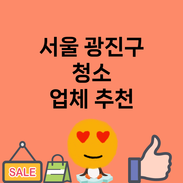 서울 광진구 청소 …