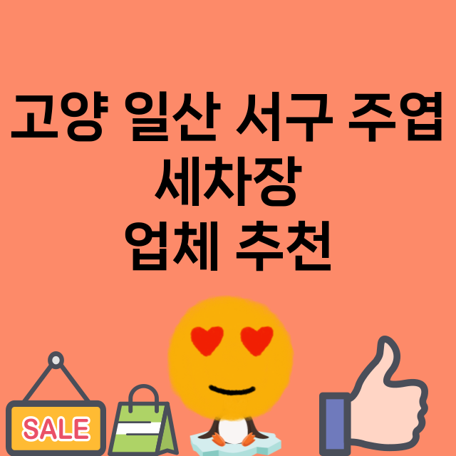 고양 일산 서구 주엽_세차장 잘하는 곳 